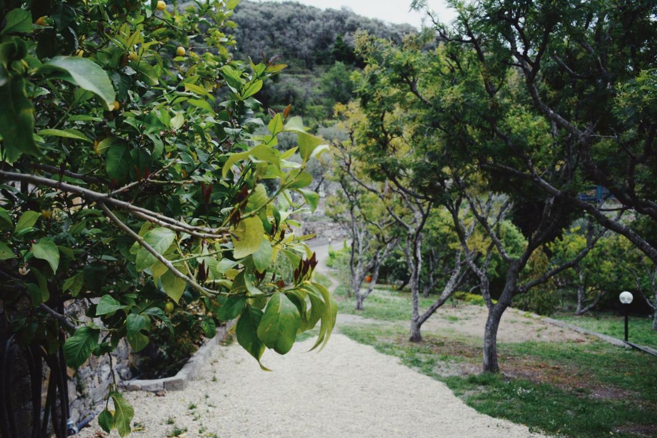 Agriturismo San Michele Di Danio Giovanni ドルチェード エクステリア 写真